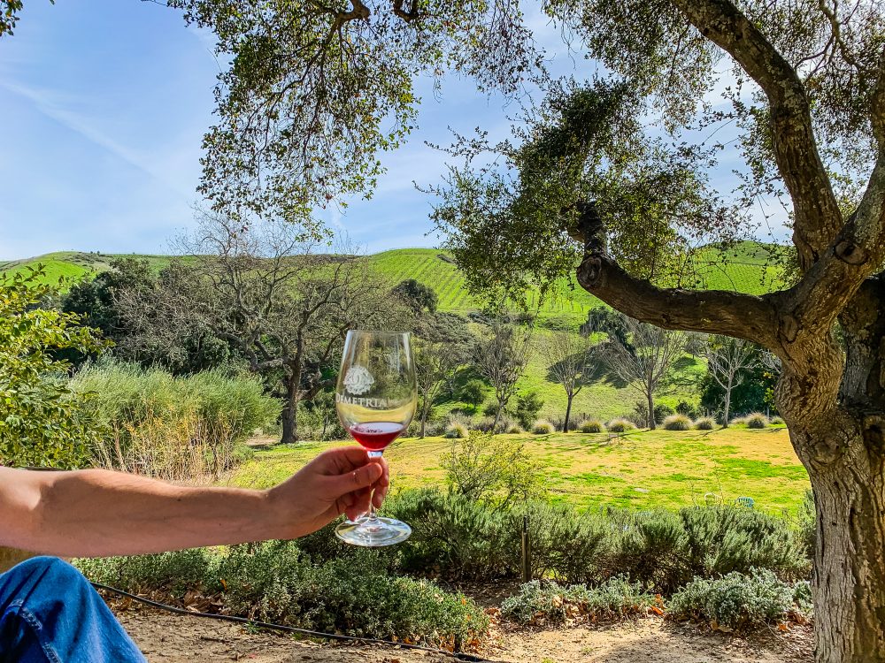 Hand holding a glass of wine, while wine tasting in Santa Barbara, with rolling hills and vineyards in the background. 